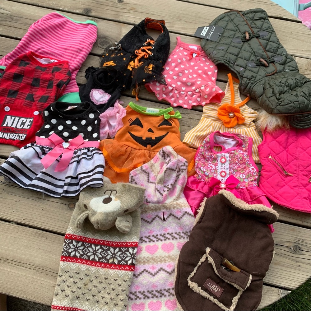 Lot of dog clothes